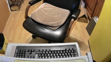 Chrysalis61  12-11-2021 video bigdildo